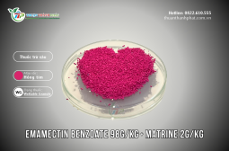 Thuốc trừ sâu EMAMECTIN BENZOATE 98G/KG + MATRINE 2G/KG