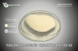 Thuốc trừ bệnh TEBUCONAZOLE 500G/KG + TRIFLOXYTROBIN 250G/KG