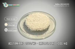 Thuốc trừ sâu ACETAMIPRID 250G/KG + IMIDACLOPRID 100G/KG