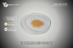 Chất điều hoà sinh trưởng GIBBERALILC ACID 200G/KG - MEGAFARM 200WP