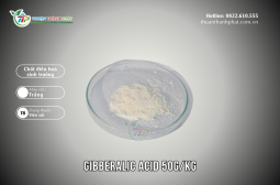 Chất điều hoà sinh trưởng GIBBERALILC ACID 50G/KG - MEGAFARM 50T