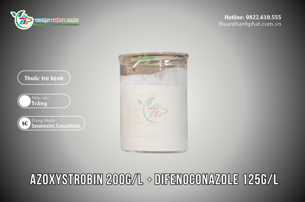 Thuốc trừ bệnh AZOXYSTROBIN 200G/L + DIFENCONAZOLE 125G/L