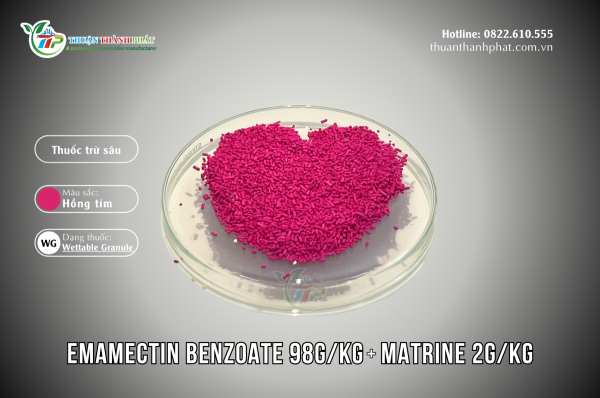 Thuốc trừ sâu EMAMECTIN BENZOATE 98G/KG + MATRINE 2G/KG