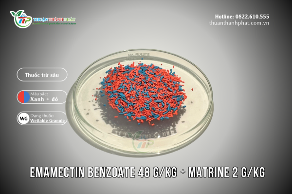 Thuốc trừ sâu EMAMECTIN BENZOATE 48G/KG + MATRINE 2G/KG