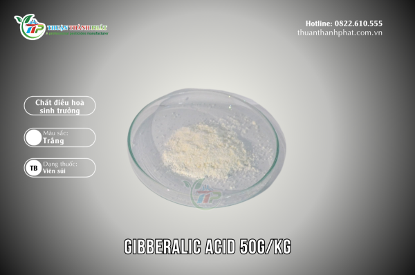 Chất điều hoà sinh trưởng GIBBERALILC ACID 50G/KG - MEGAFARM 50T
