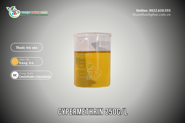 Thuốc trừ sâu CYPERMETHRIN 250G/L - TORNADO 25EC Tornado 25EC (Hoạt chất: Cypermethrin 250g/l)